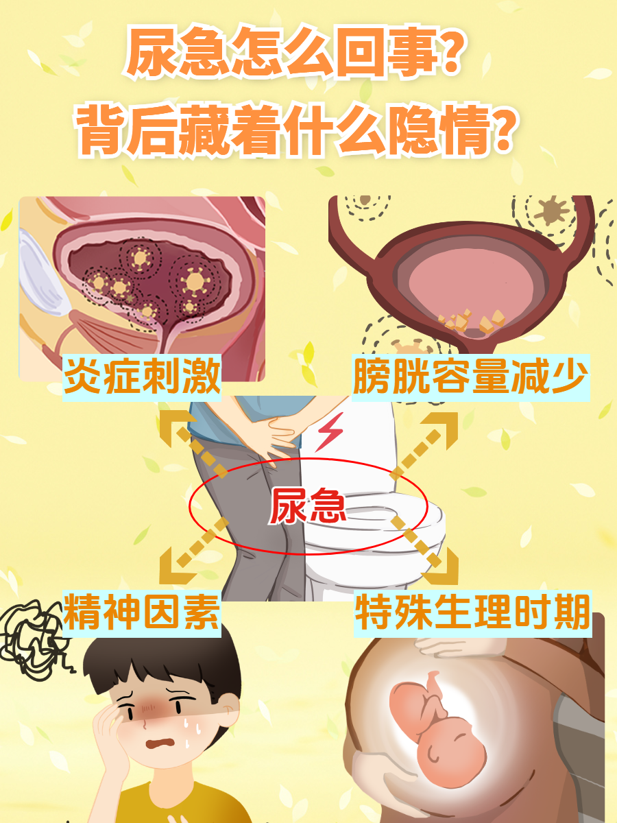 老想小便是怎么回事