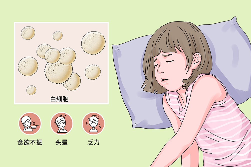 白细胞减少有什么危害