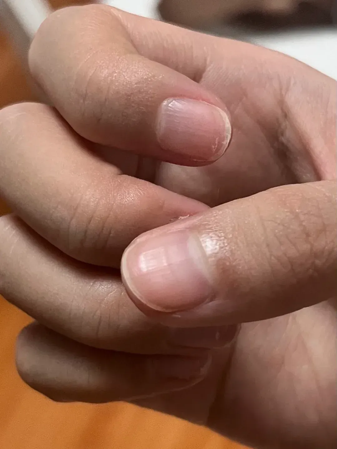 2025年12月1日 第11页