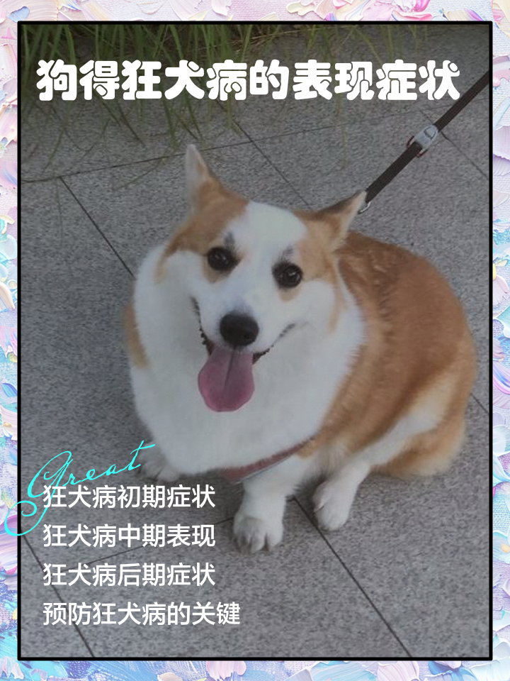 狂犬病什么情况下会感染