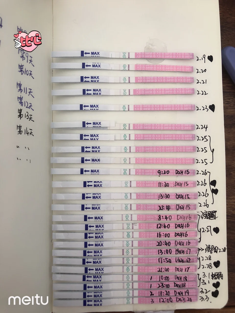 一个月排卵几次