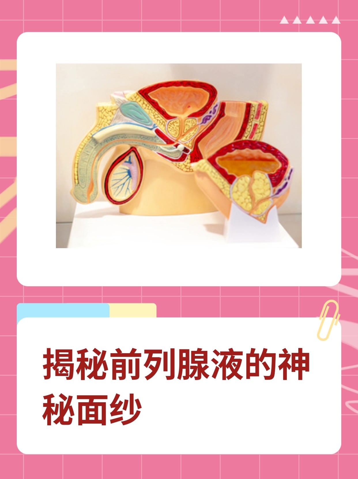 如何取前列腺液?