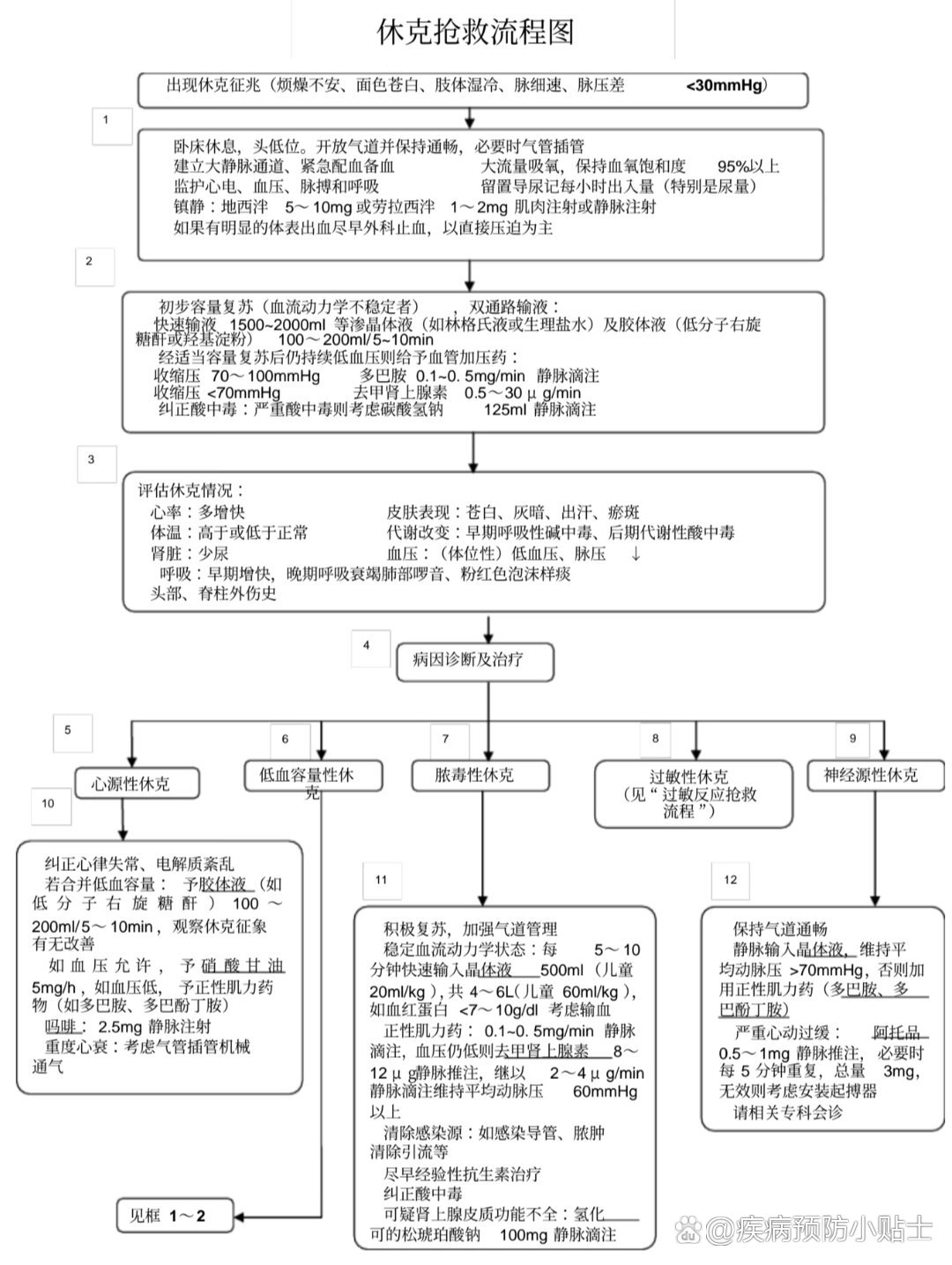 过敏性休克的抢救措施有哪些