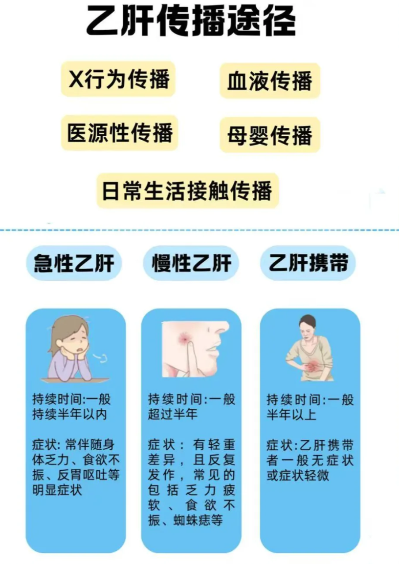 乙肝两对半会不会传染