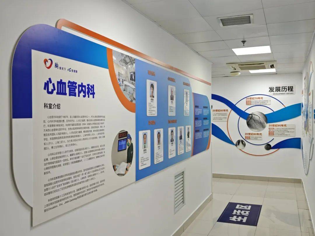 心血管内科主要看什么