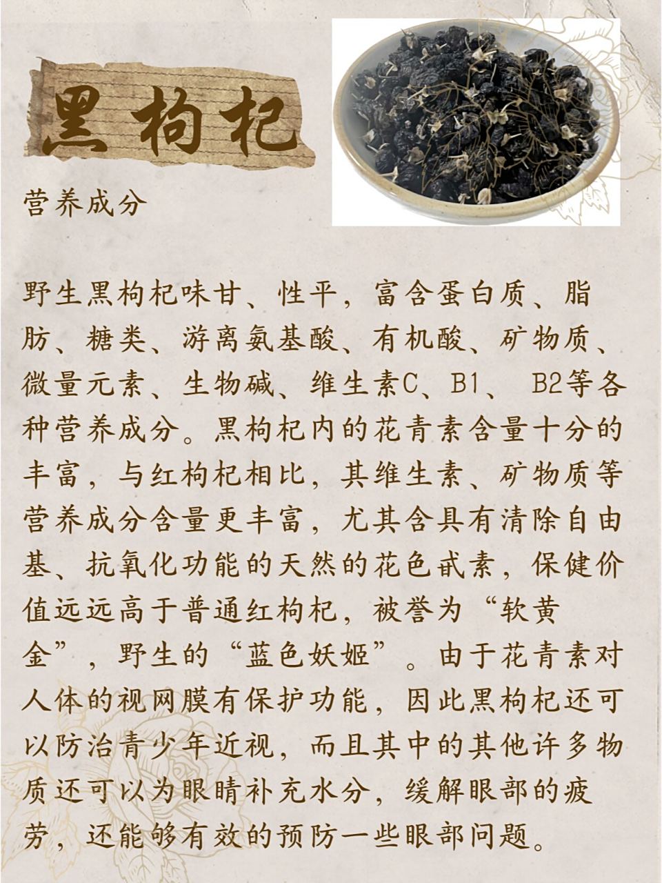 黑枸杞的功效与作用是什么