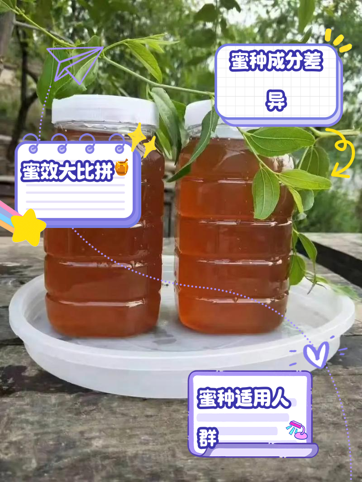 槐花蜜的功效与作用