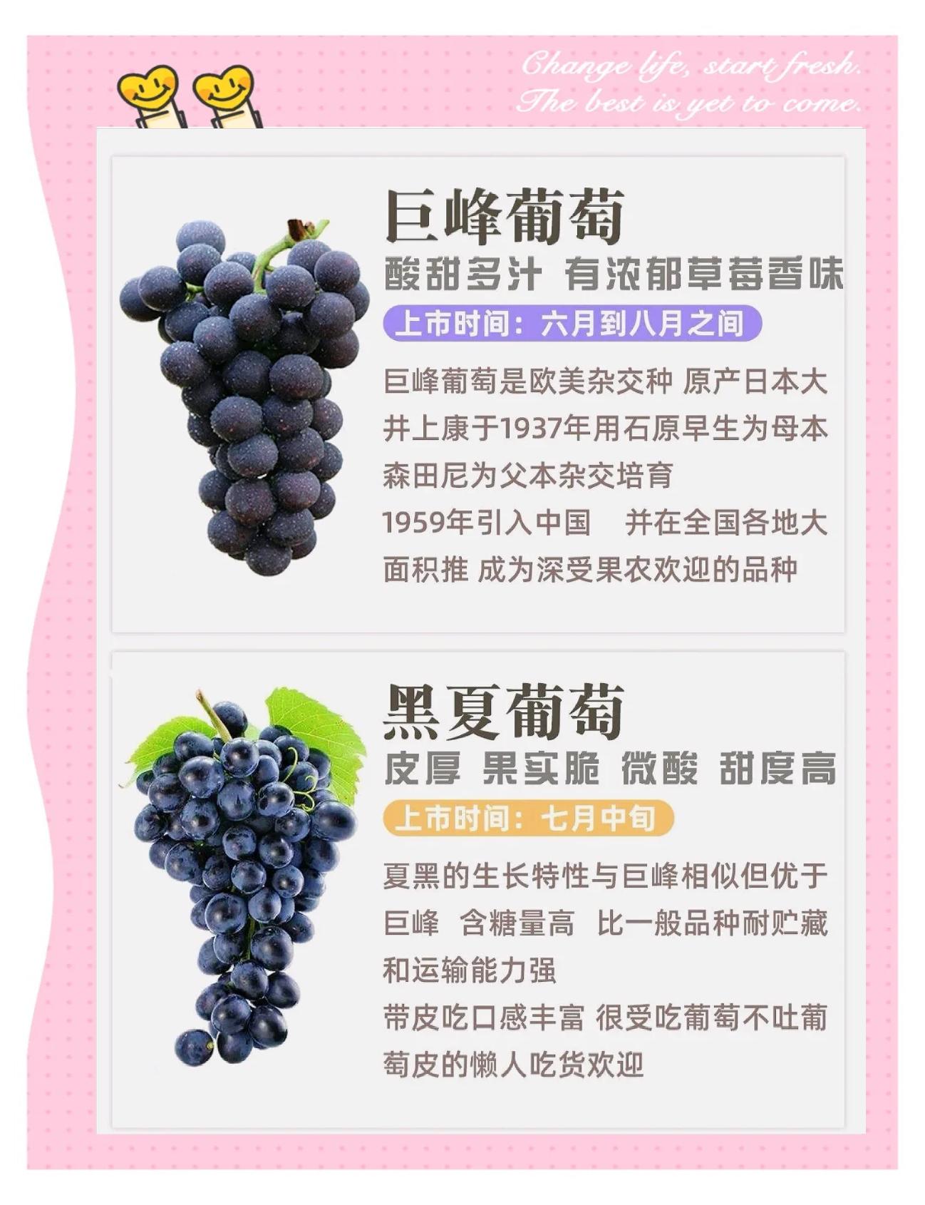 糖尿病人可以吃葡萄吗