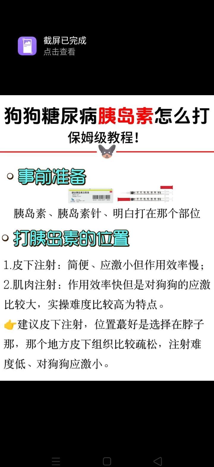 胰岛素打了可以停吗