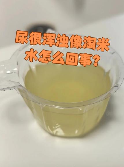 小便浑浊是什么原因