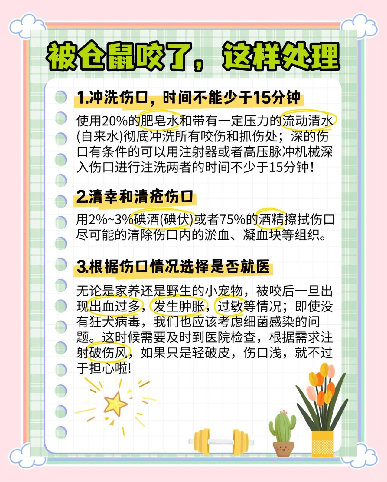 被松鼠咬伤怎么办?