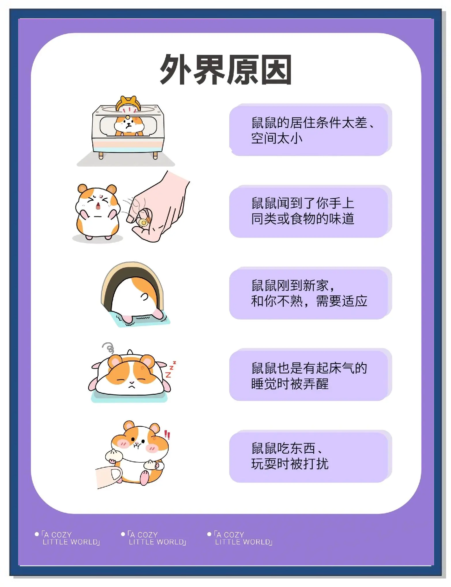 被松鼠咬伤怎么办?