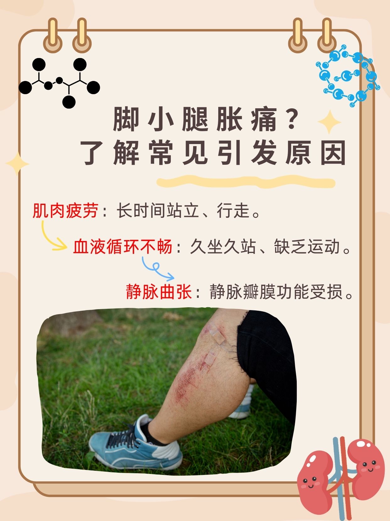 双下肢浮肿原因是什么