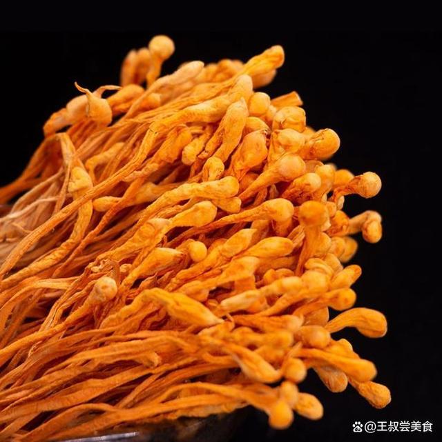 孕妇能吃虫草花吗?