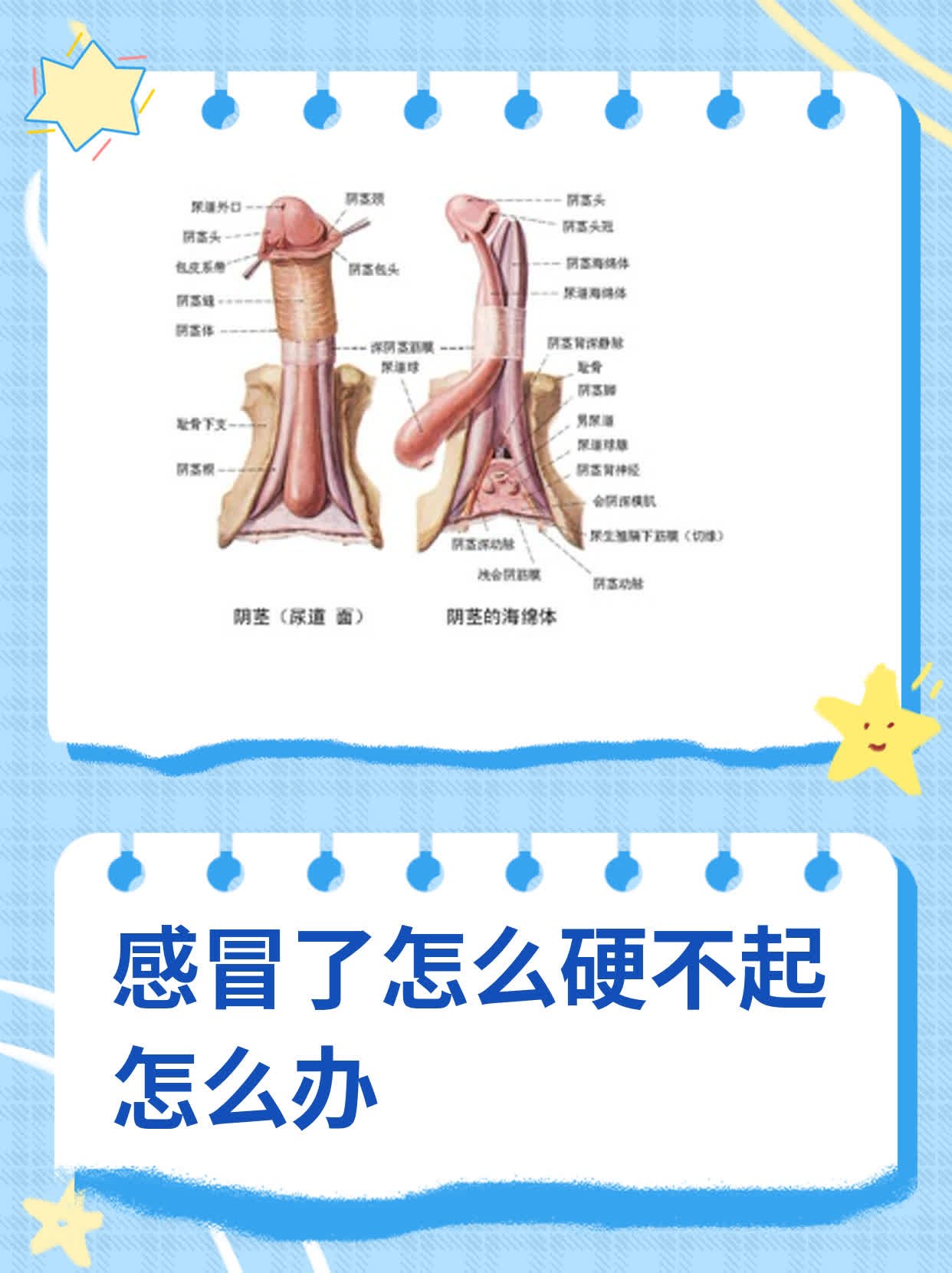 感冒了怎么办有什么办法