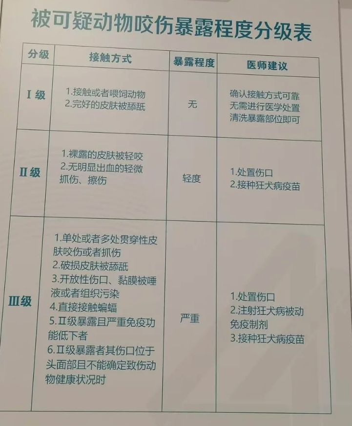 狂犬病潜伏期到底多久