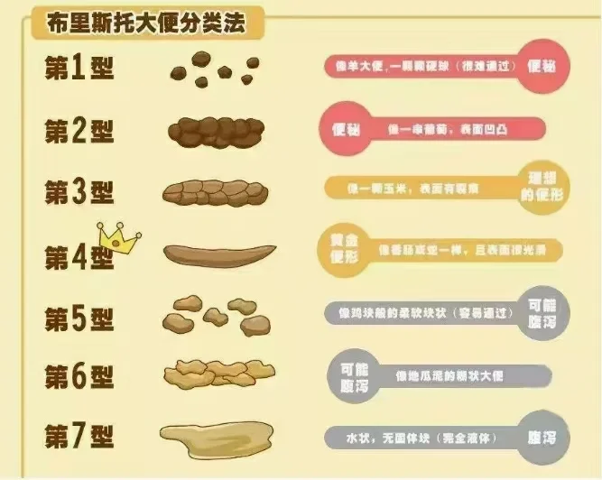 大便干燥拉不出来是怎么回事