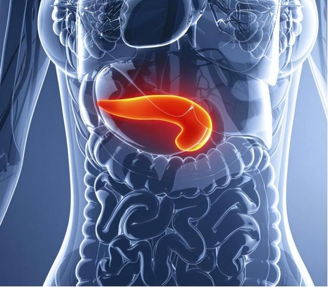 胰腺炎症状的疼痛的位置是哪里