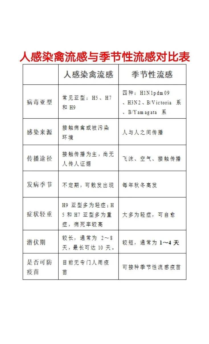 禽流感传染人类吗