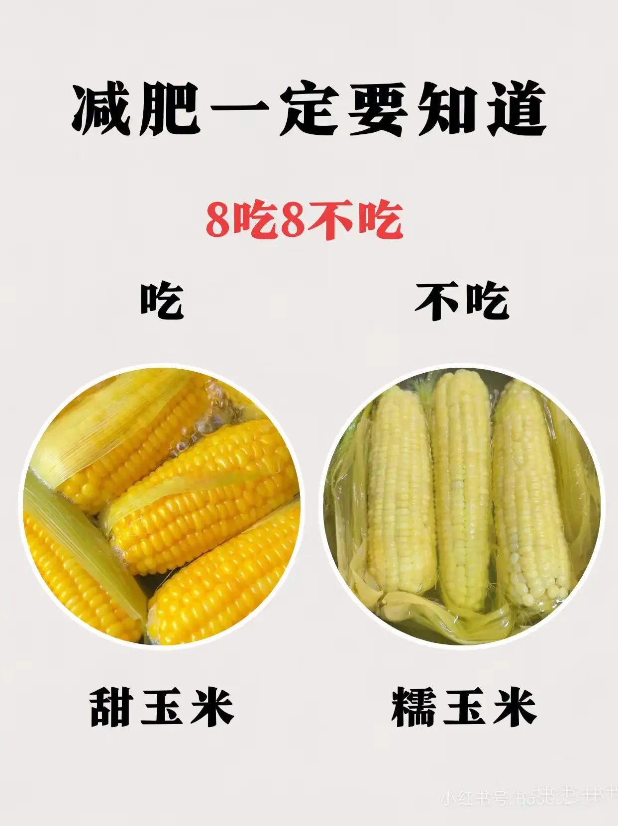 每天只吃玉米能减肥吗揭秘玉米减肥真相