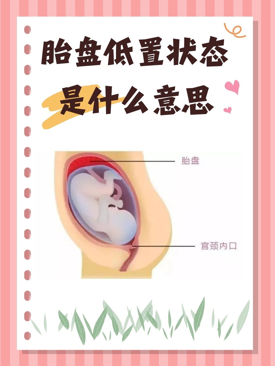 低置胎盘怎样快速上长