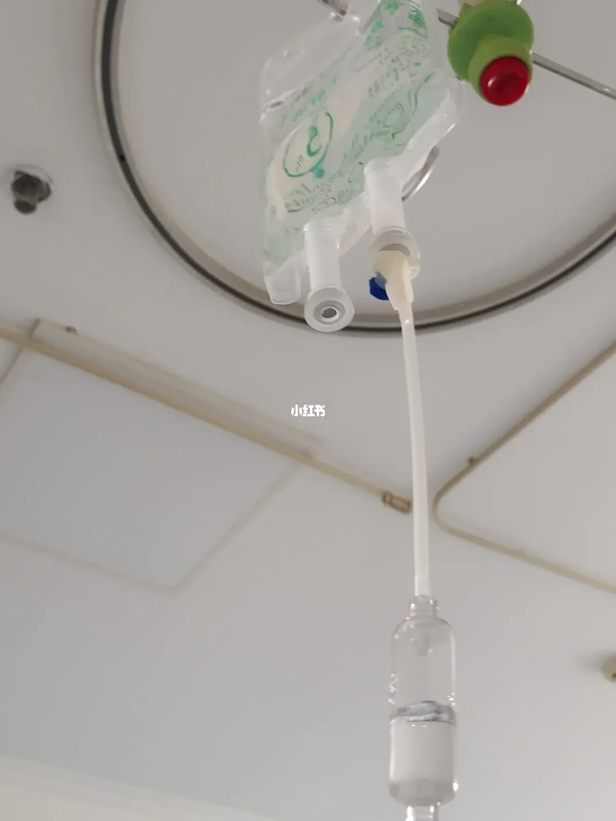 在哪里能买到理肠调胃安神剂