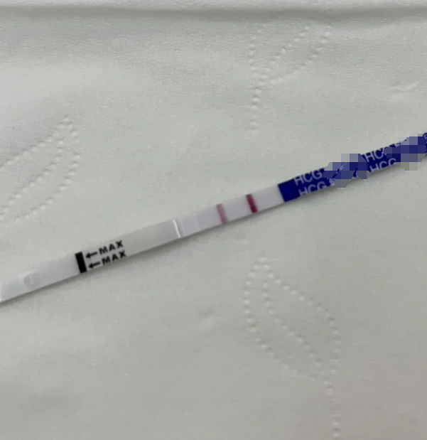 停经多久能测出怀孕