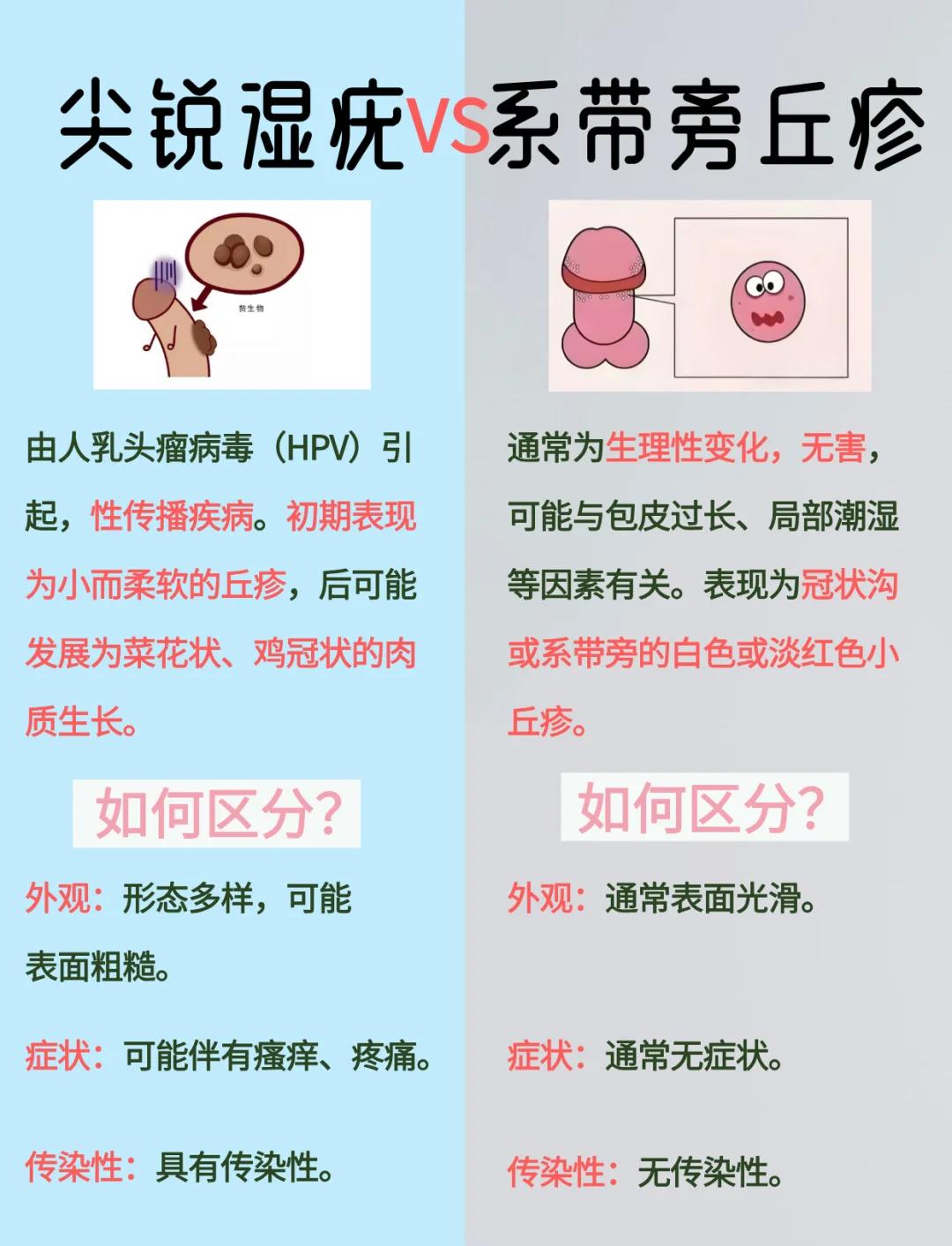 睾丸上有小疙瘩是怎么回事