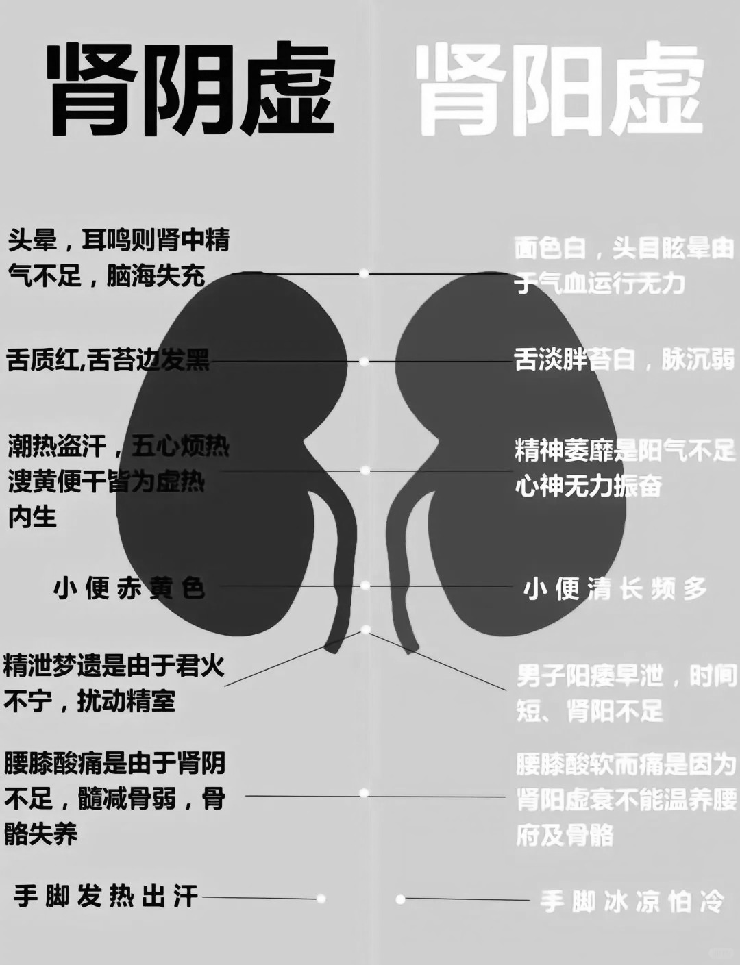 肾阴虚是什么意思?