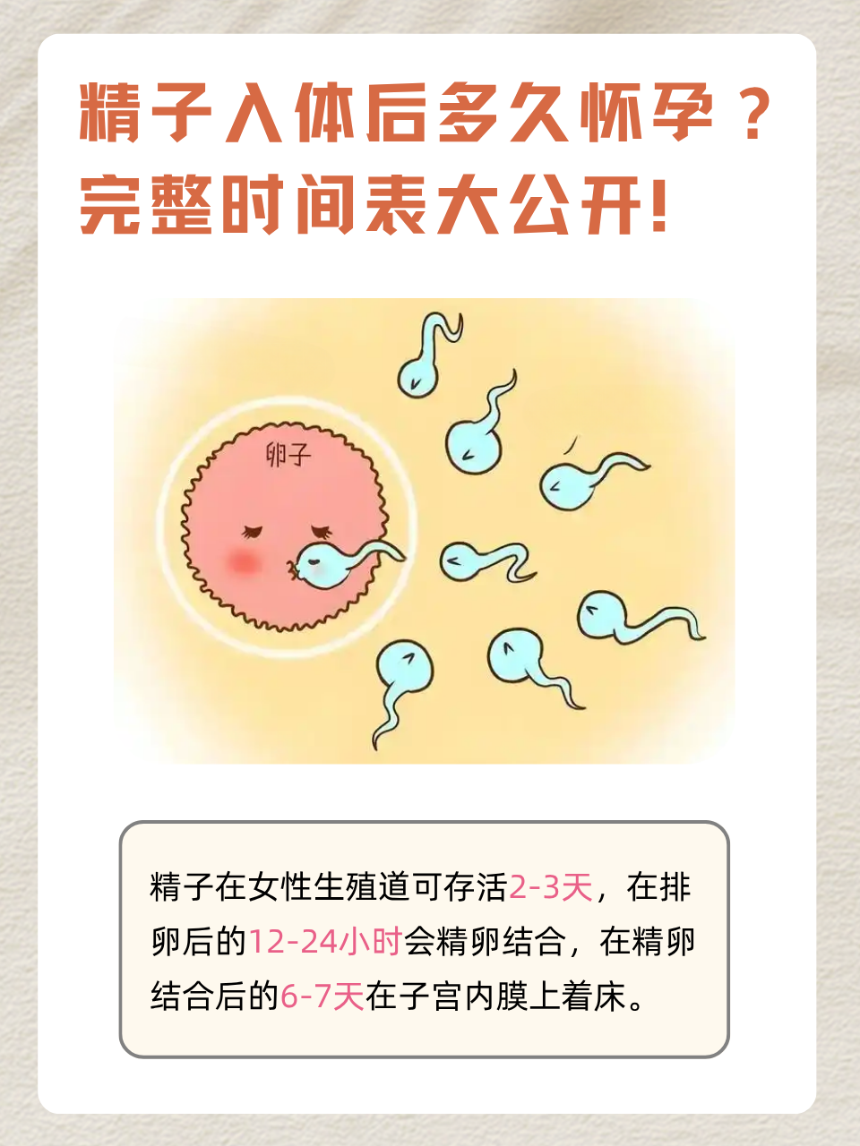 同房后多少天受精卵着床