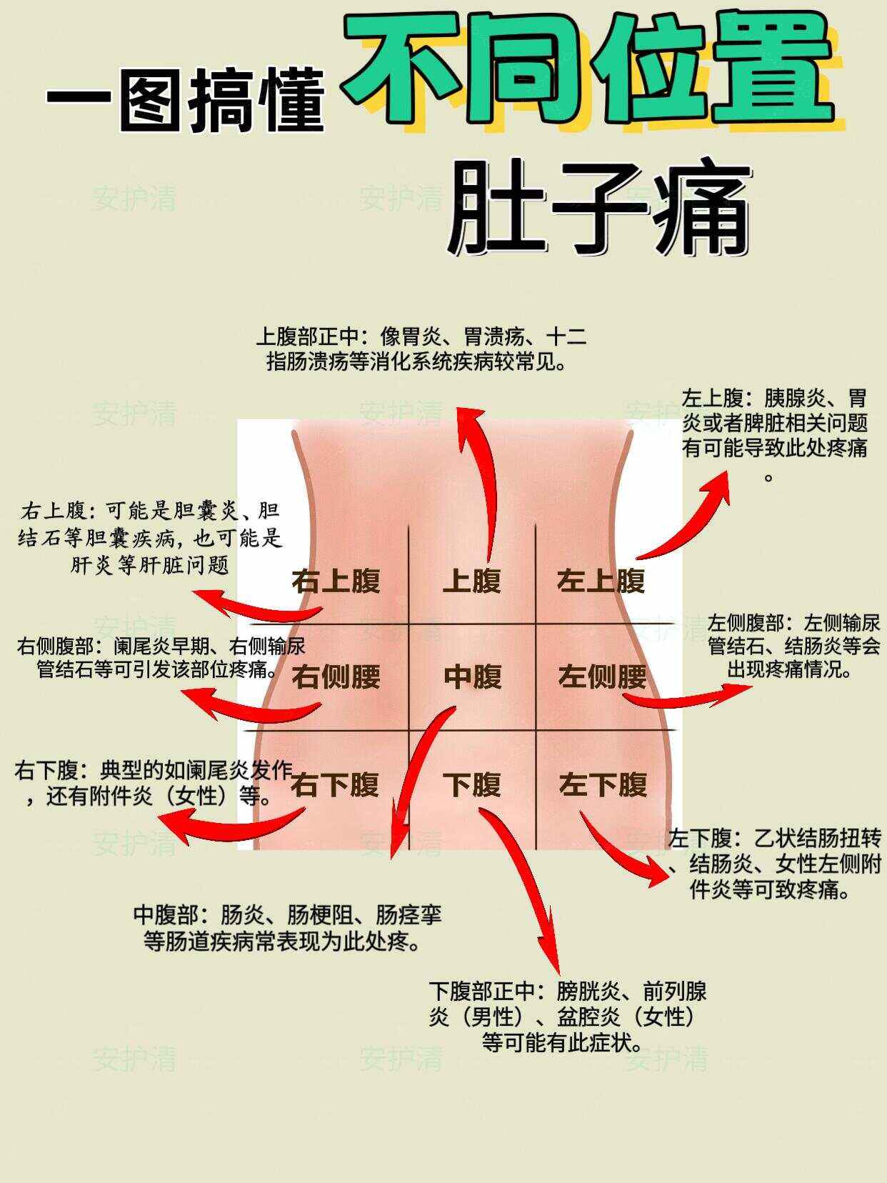 男性小腹痛是什么原因造成的