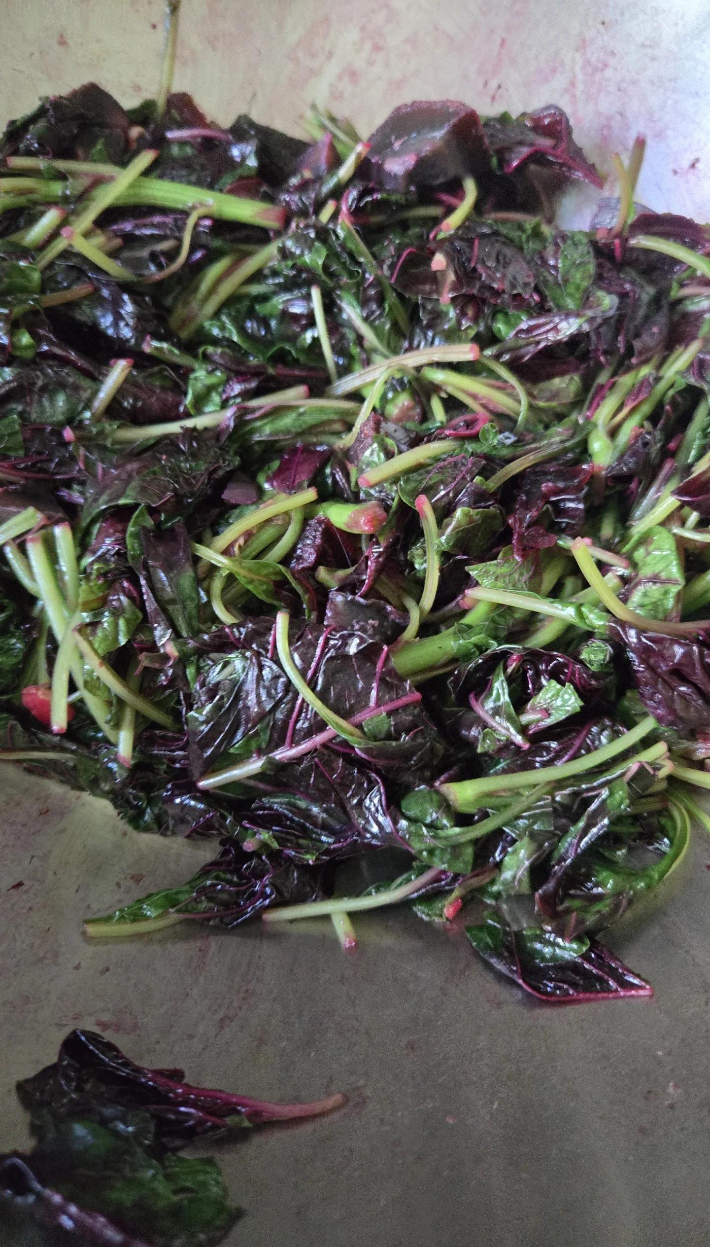 血热吃什么东西好