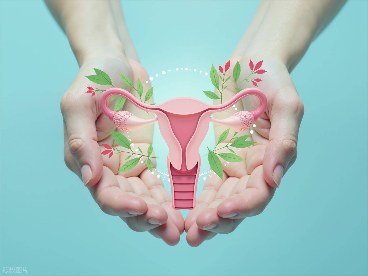 个子小的女人阴道会紧吗