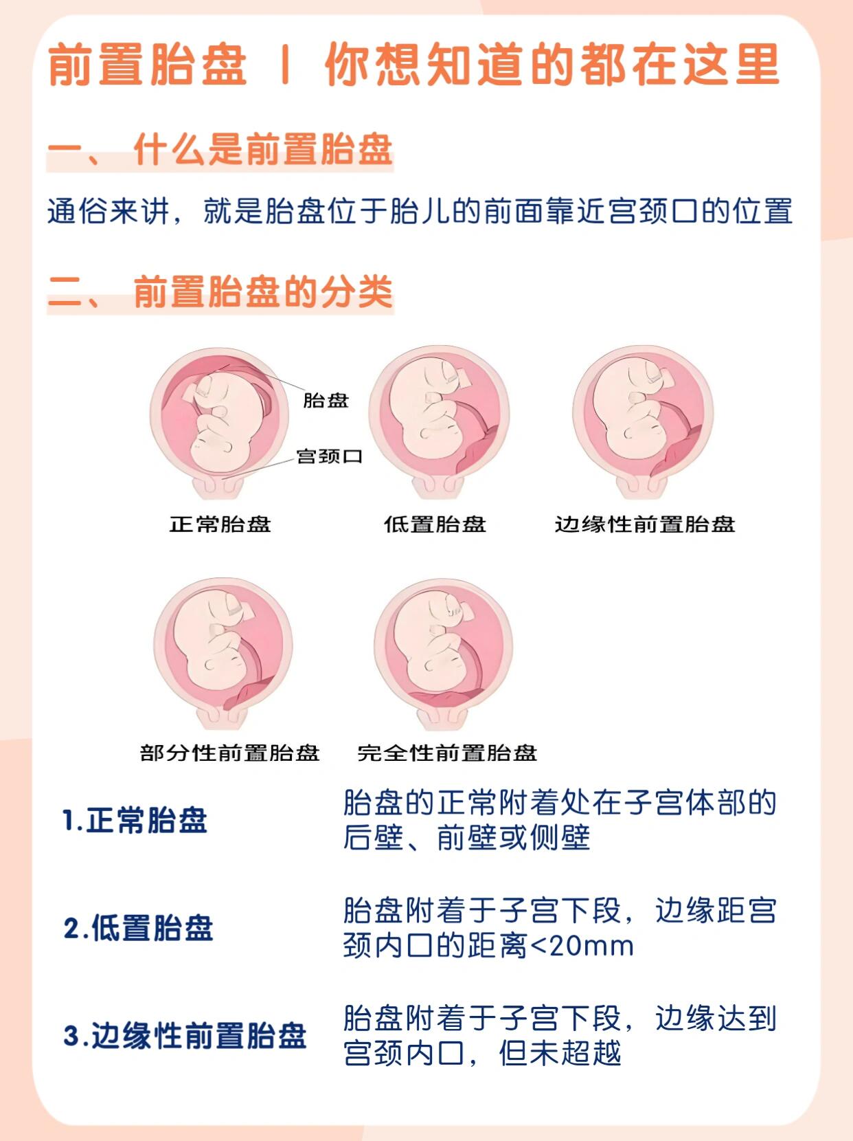 胎盘的功能是什么