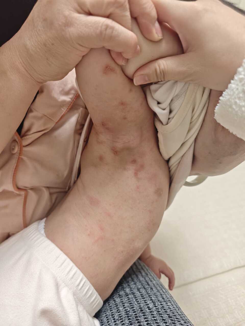 2025年12月4日 第12页