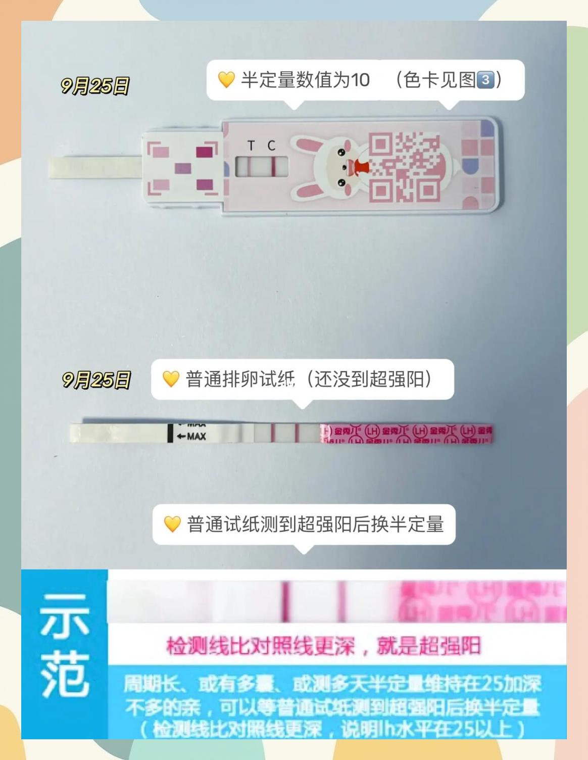 怎么样测排卵期