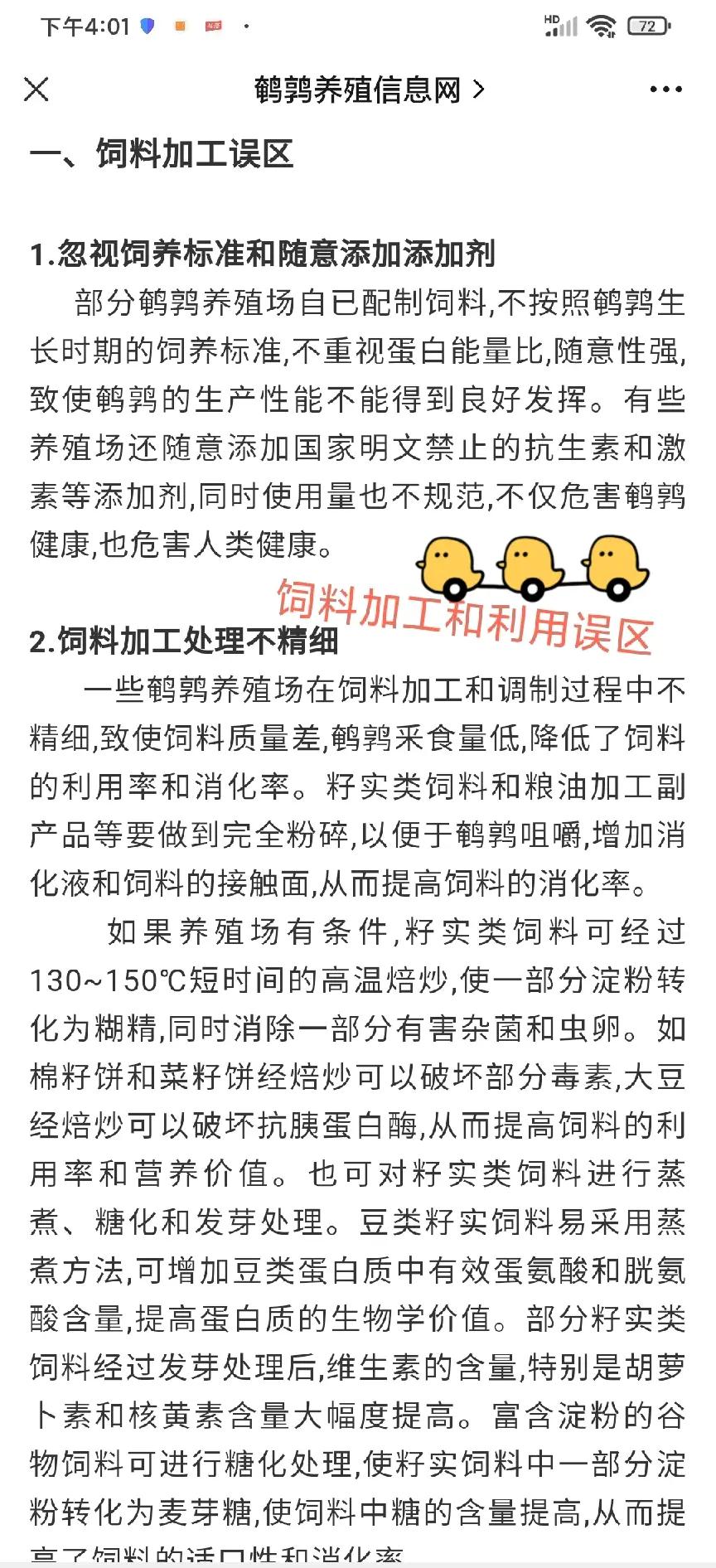 鹌鹑的营养价值及功效