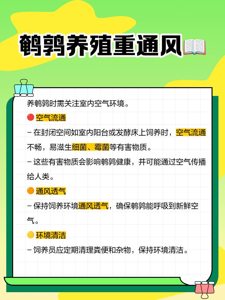 鹌鹑的营养价值及功效