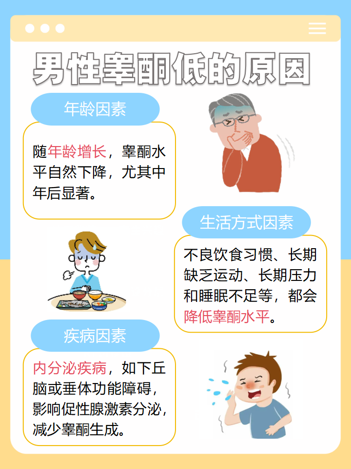 2025年12月4日 第8页