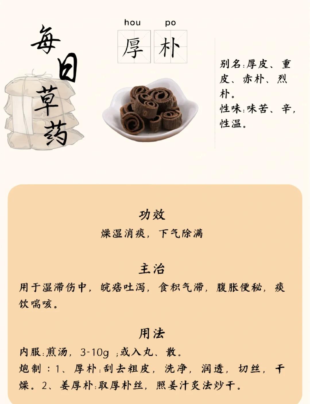 厚朴的功效与作用