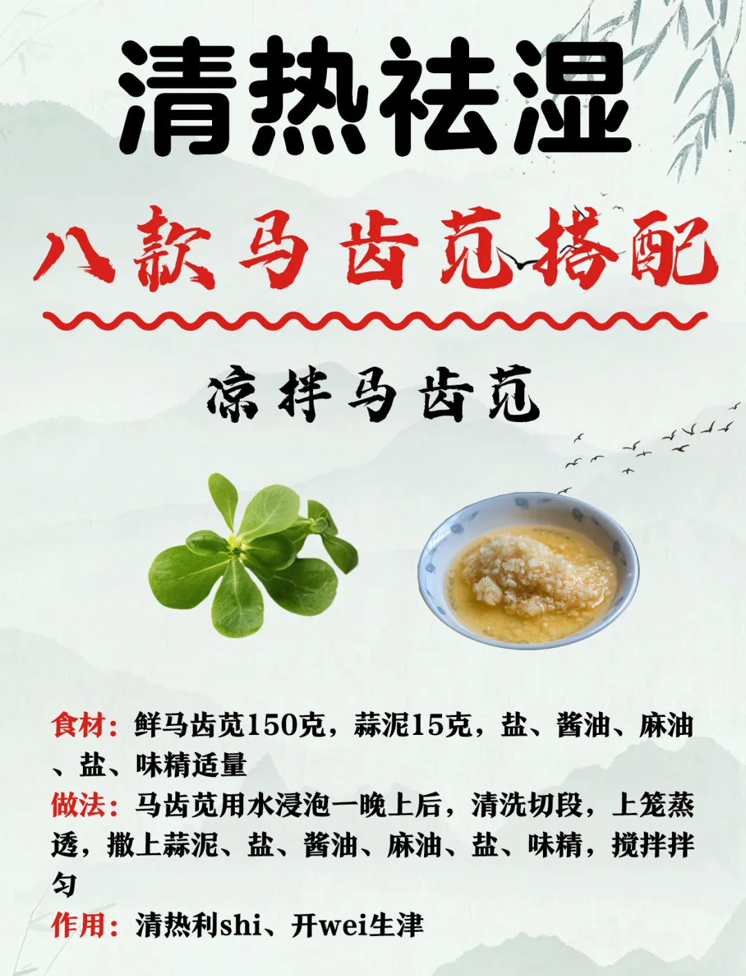 马齿苋的功效与作用