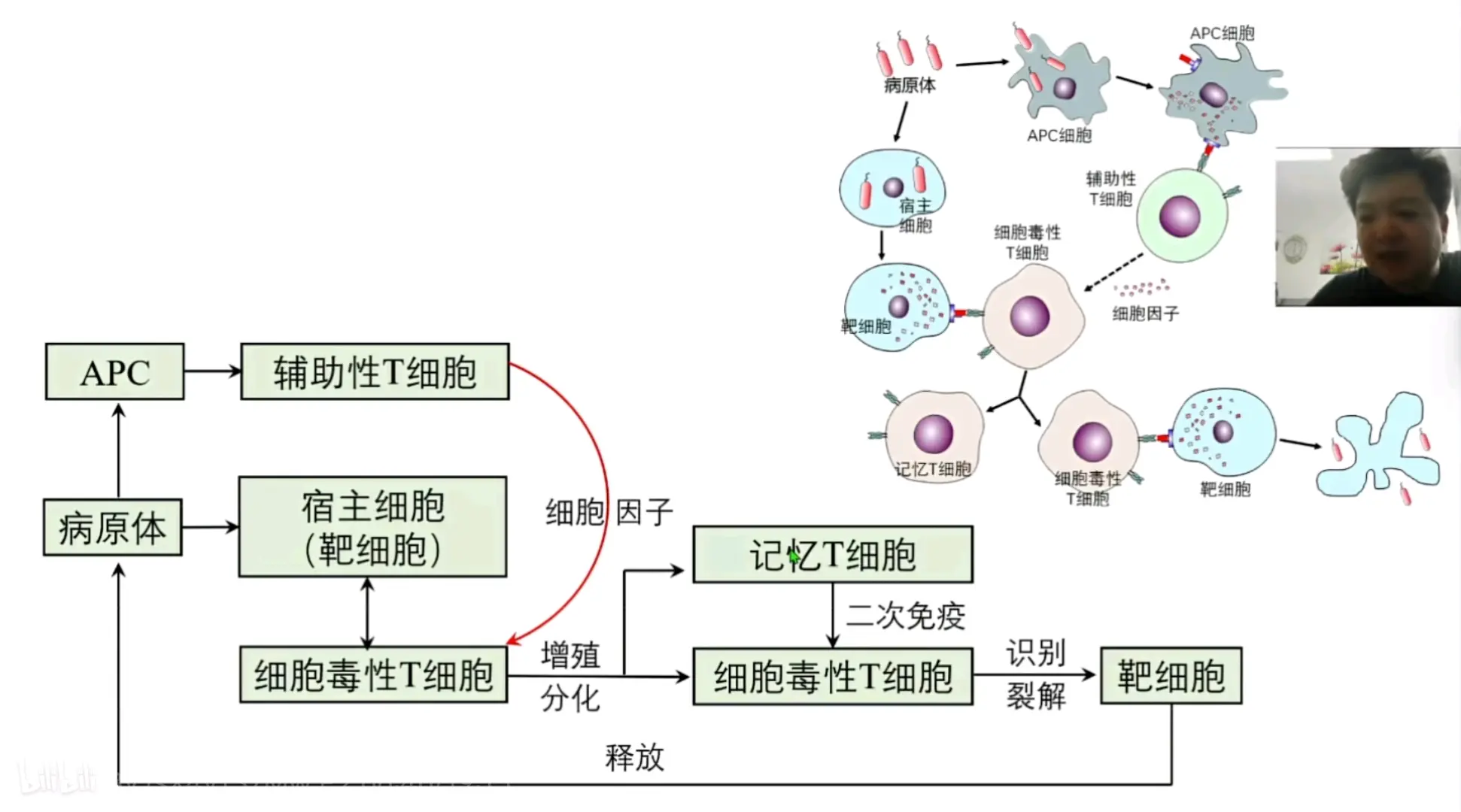 什么是非特异性免疫