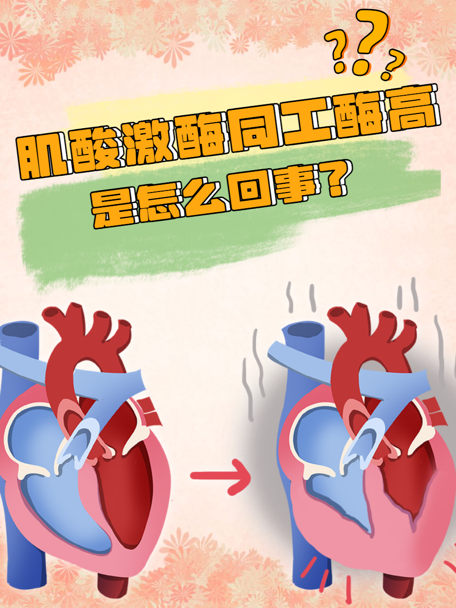 肌酸激酶同工酶偏高的原因和危害