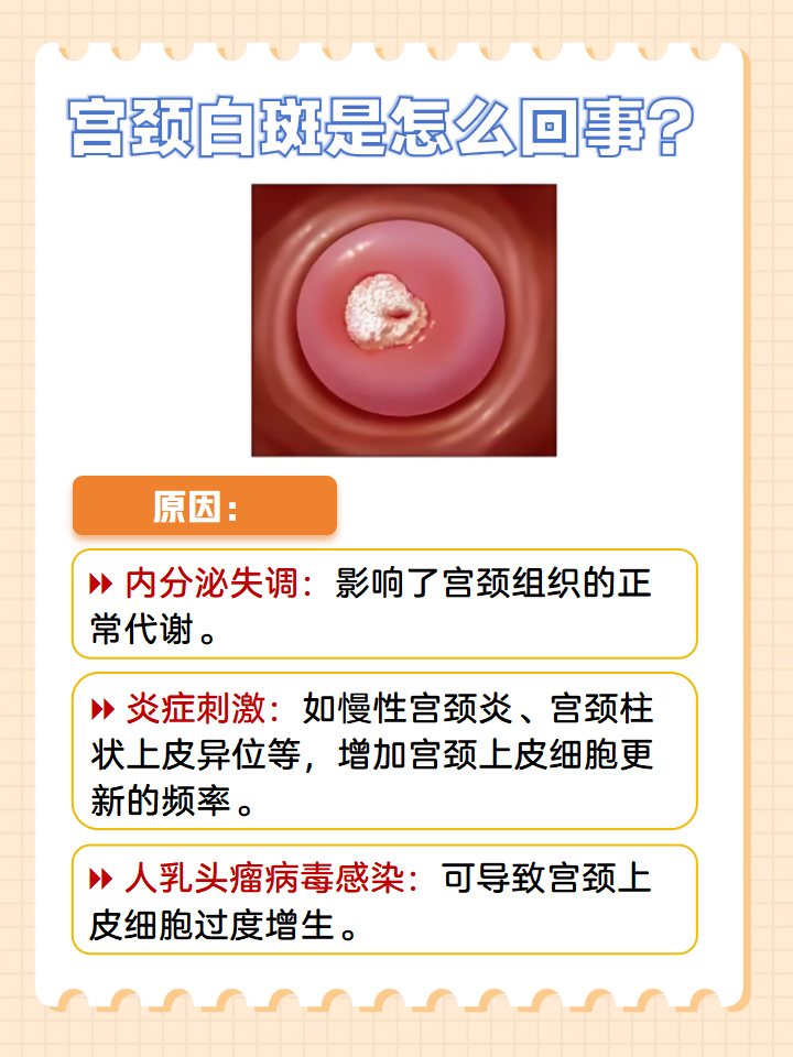 2025年12月5日 第21页