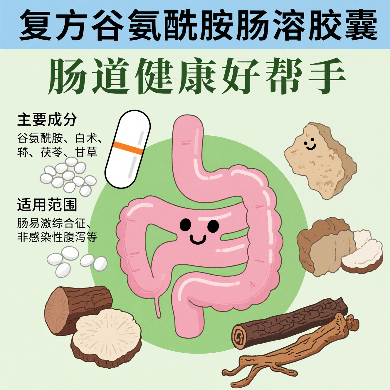 肠功能紊乱吃什么药