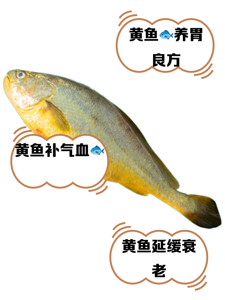 鳝鱼的营养价值