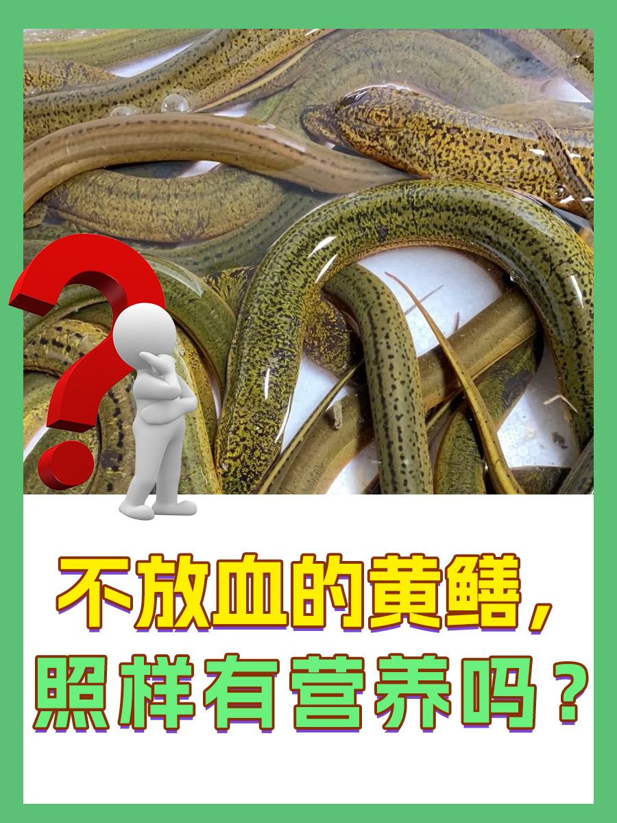 鳝鱼的营养价值