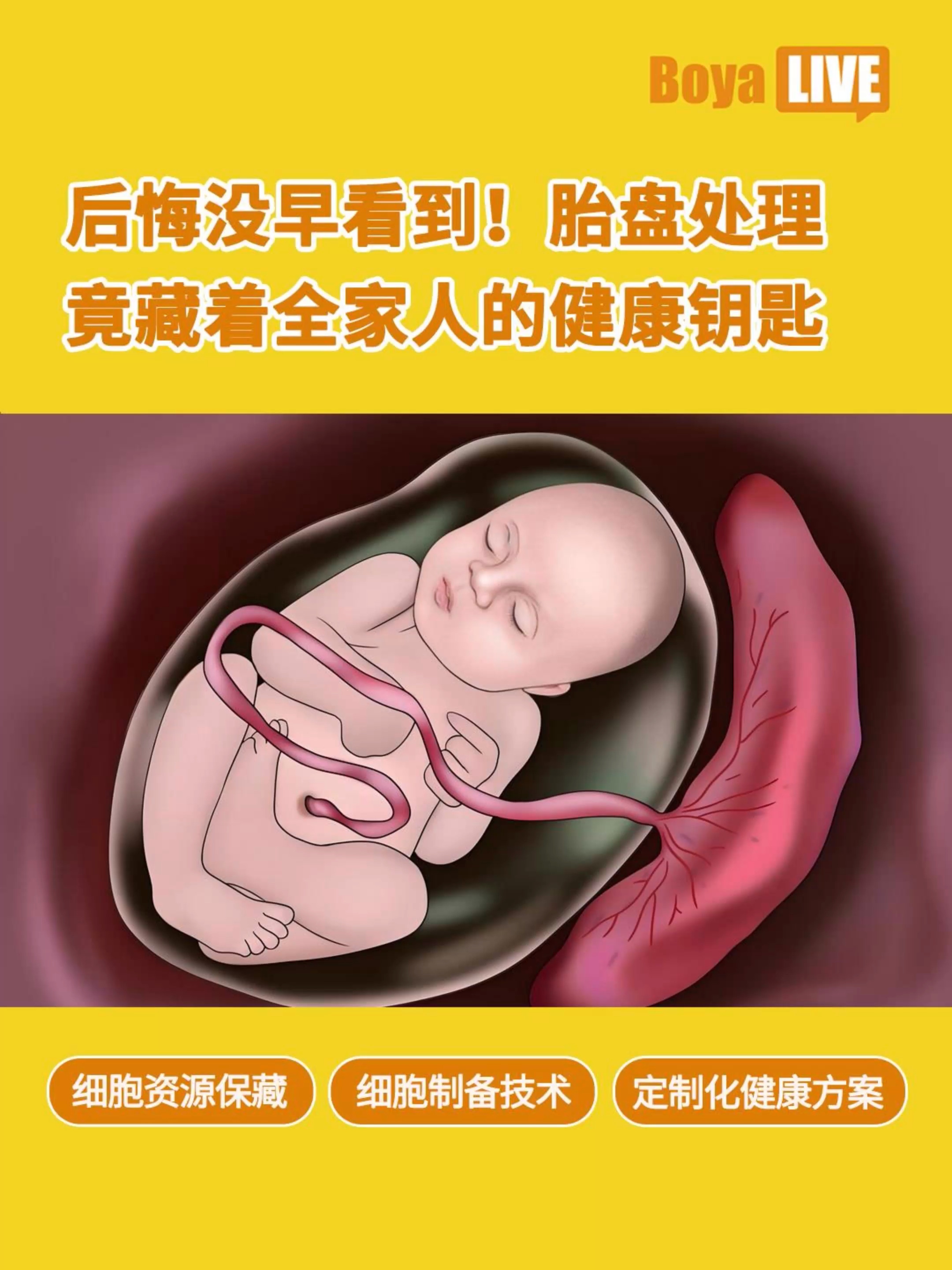 吃胎盘有什么好处?