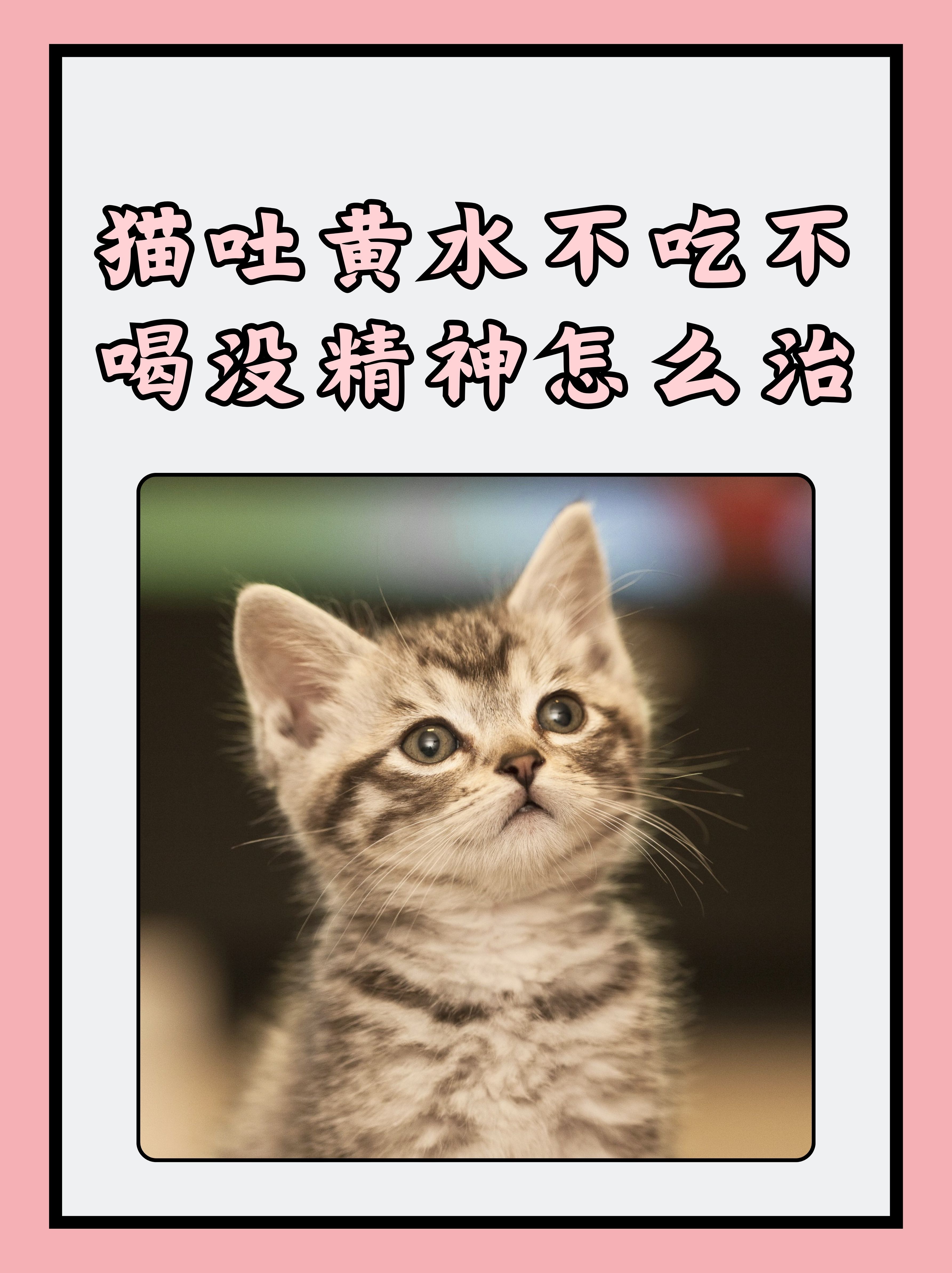 2025年12月5日 第7页