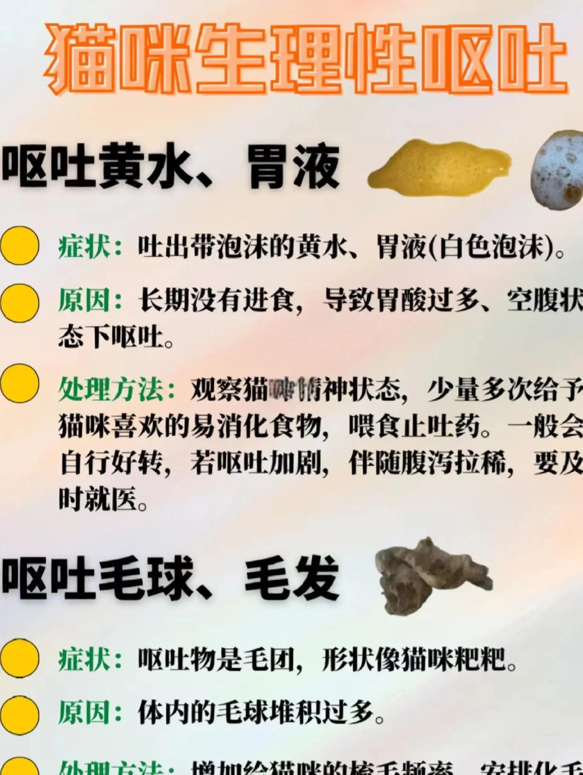 大早上吐黄水是怎么回事?医生